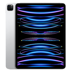 Apple iPad Pro 12.9 pulgadas (2022) 512GB Reacondicionado | Plata | Wifi + 5G | 1 año de garantía | Accesorios