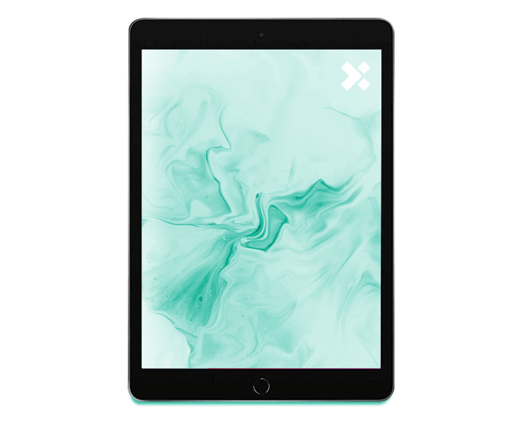 APPLE iPad 8 Refurbished | 128GB | WIFI | 10.2 inch | Space Gray | 12M Garantie